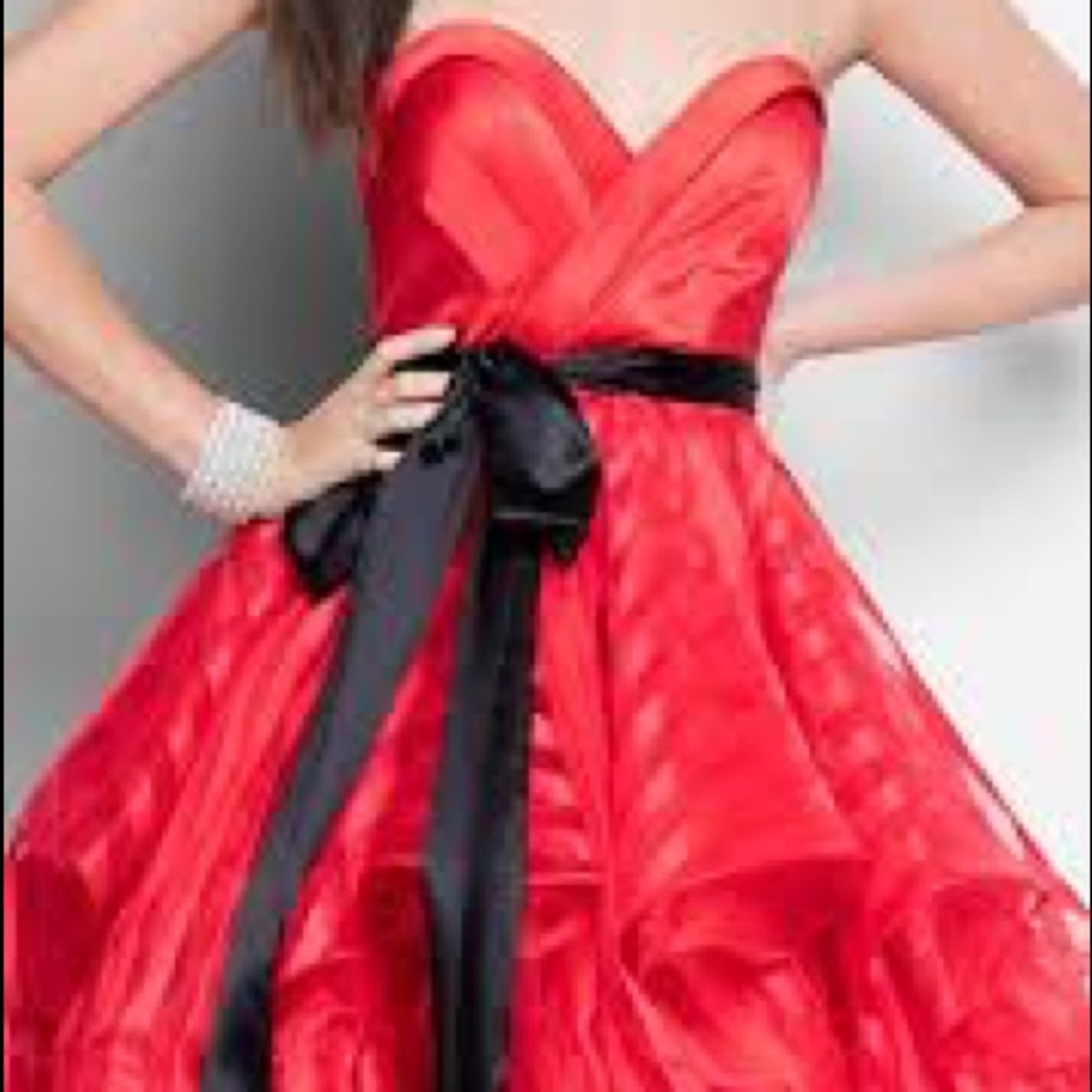 Brand new Terani Couture gown